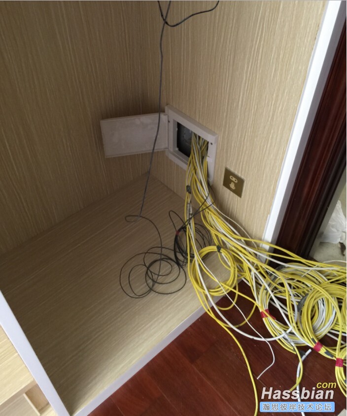 homeassistant家庭装修网络布线2篇分享